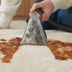 Wash Steam Textiltvätt